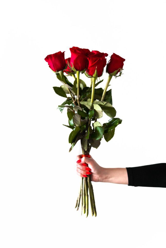 Red Roses in Woman’s Hand Free Photo