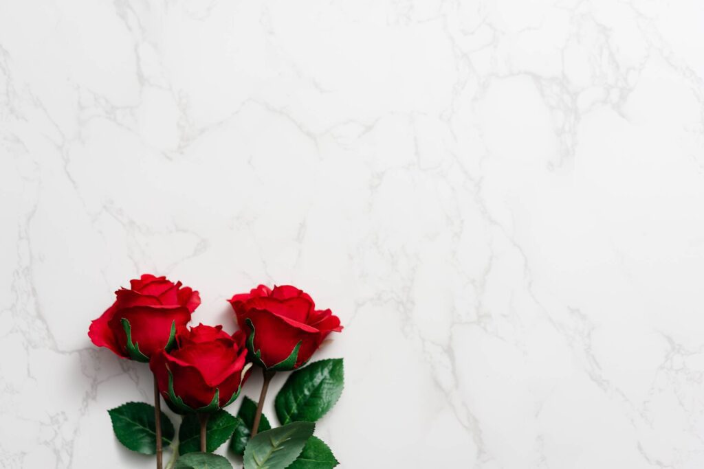 Red Roses on White Marble Background Free Photo