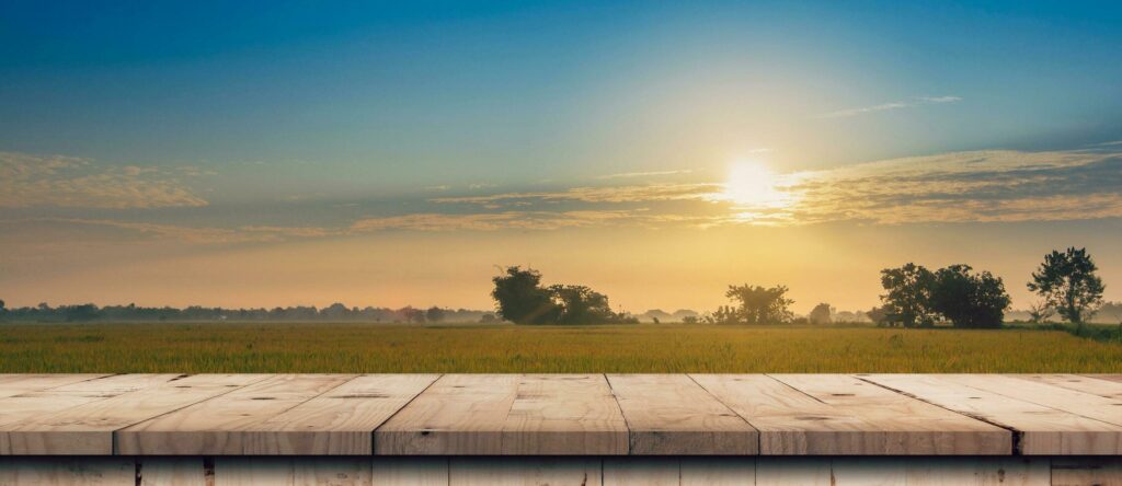 Rice field sunrise and Empty wood table for product display and montage. Stock Free