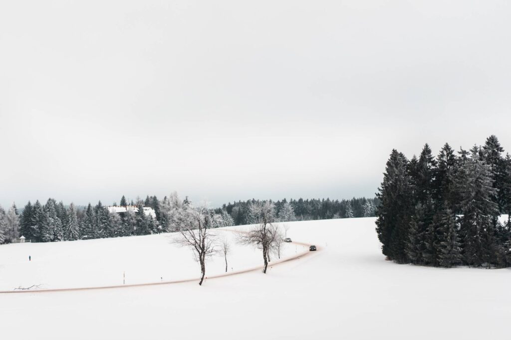 Road and Fields Covered with Snow Free Photo