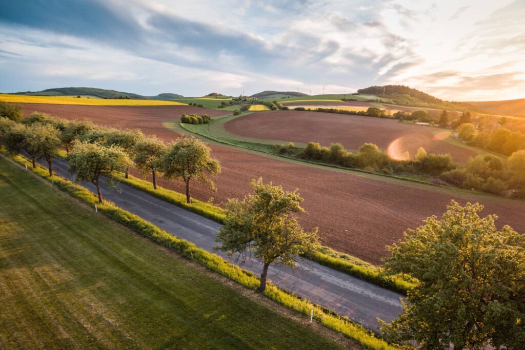 Road Between Fields Free Photo