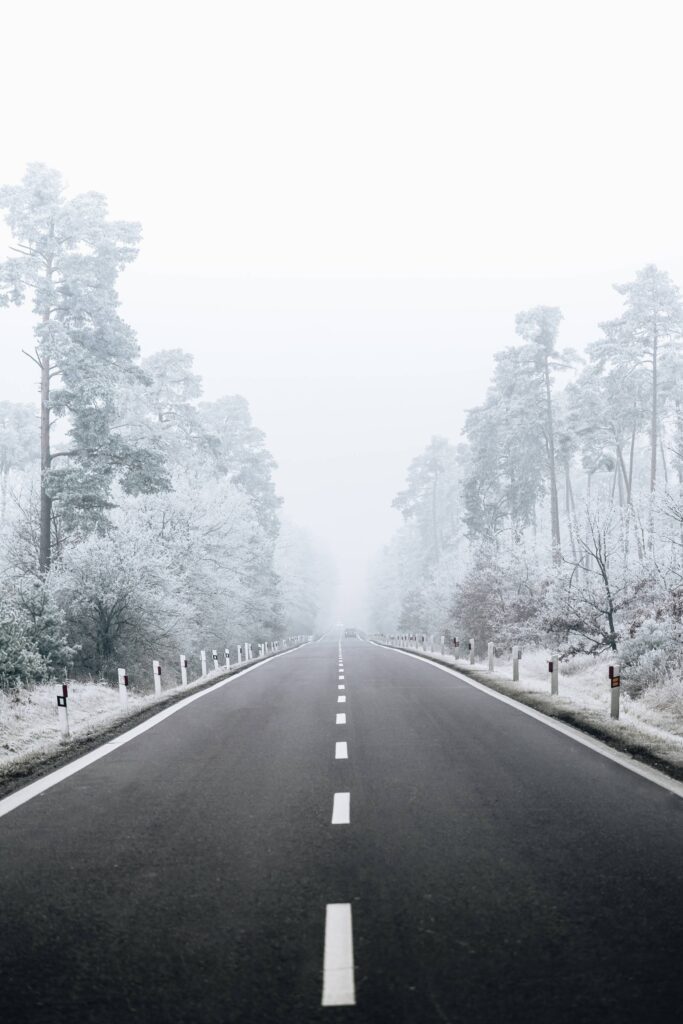 Road Through Snowy Forest Free Photo