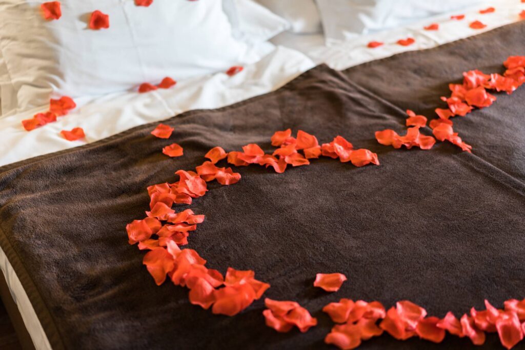 Romantic and Lovely Bed of Roses Petals Free Photo