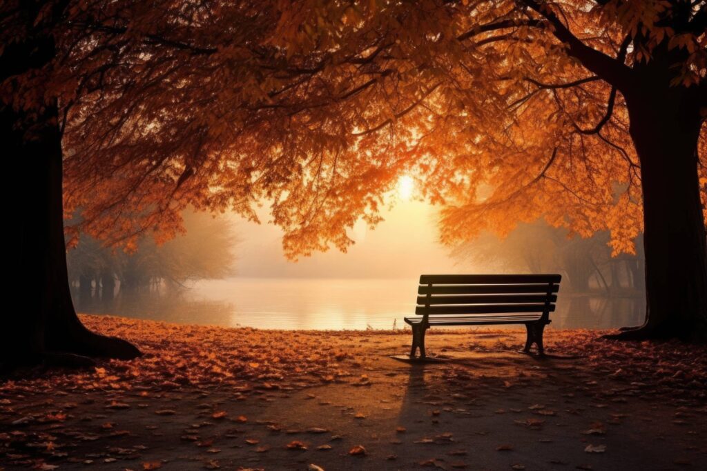 Romantic Place Lonely Bench Under Autumn Trees Stock Free