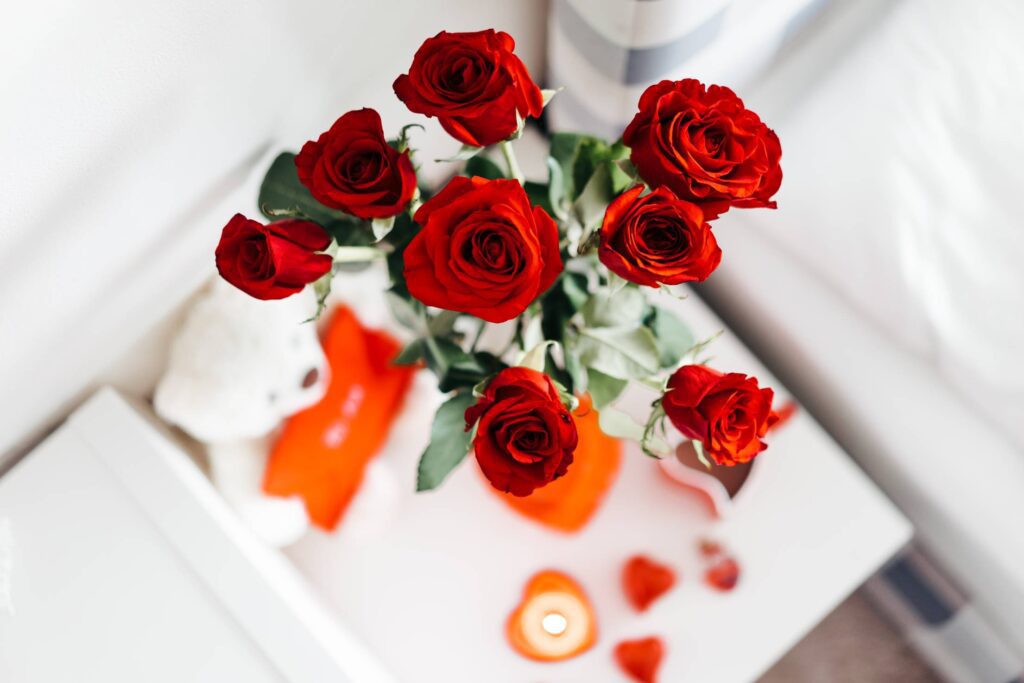 Roses for Valentine’s Day Free Photo