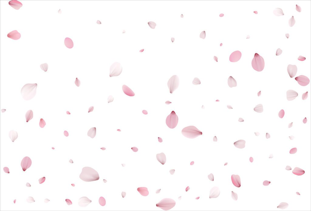 Sakura petals background. Cherry petals backdrop Free Vector