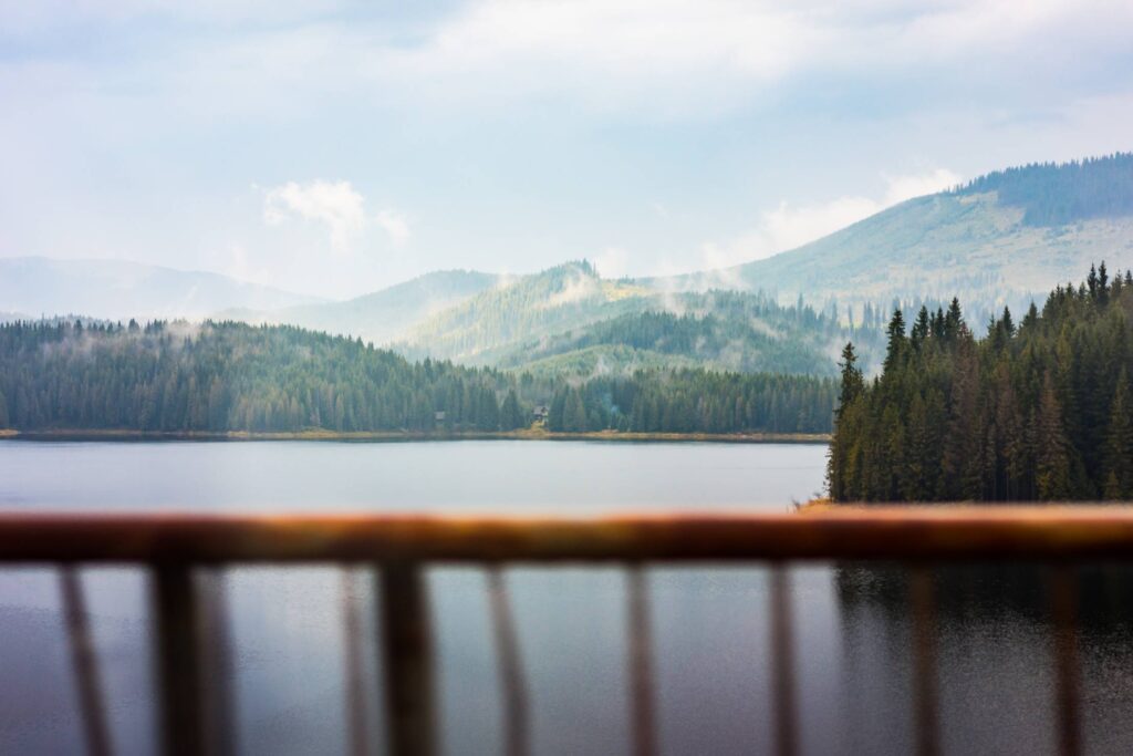 Scenic View of Lake and Foggy Forest Seen Through Car Window Free Photo