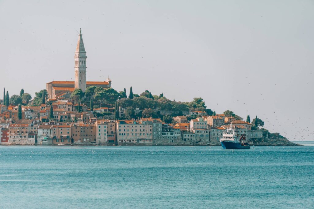 Seagulls Following Fishing Boat near Rovinj Town, Croatia Free Photo