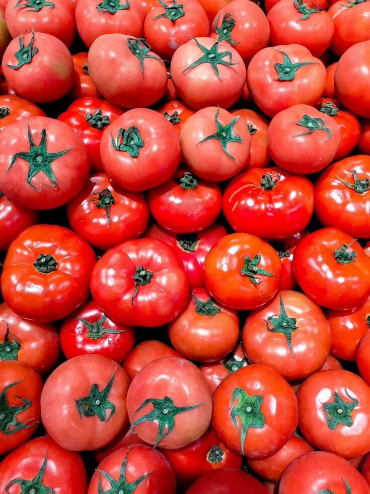 Selective view of Tomatoes the main food source of the antioxidant lycopene which can reduce the risk of heart disease and cancer. Solanum lycopersicum Stock Free