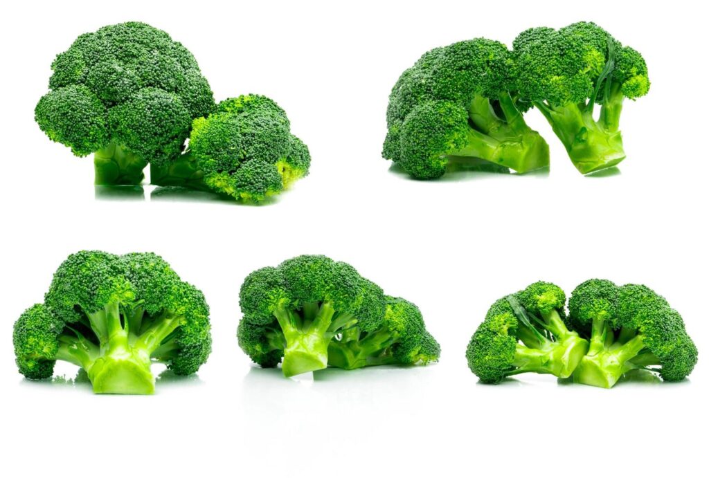 Set of green broccoli Brassica oleracea. Vegetables natural source of betacarotene, vitamin c, vitamin k, fiber food, folate. Fresh broccoli cabbage isolated on white background. Stock Free