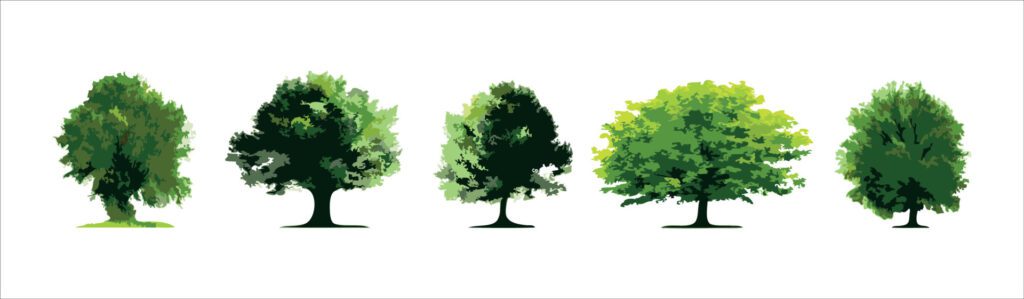 Set of trees isolated on white background. Free Vector