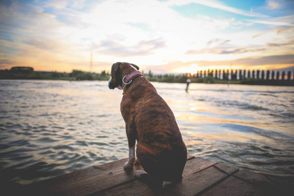 Sitting & Waiting Free Photo