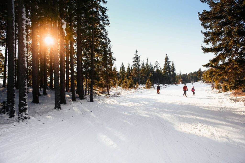 Ski Slope Sunny Skiing under Bright Sky Free Photo