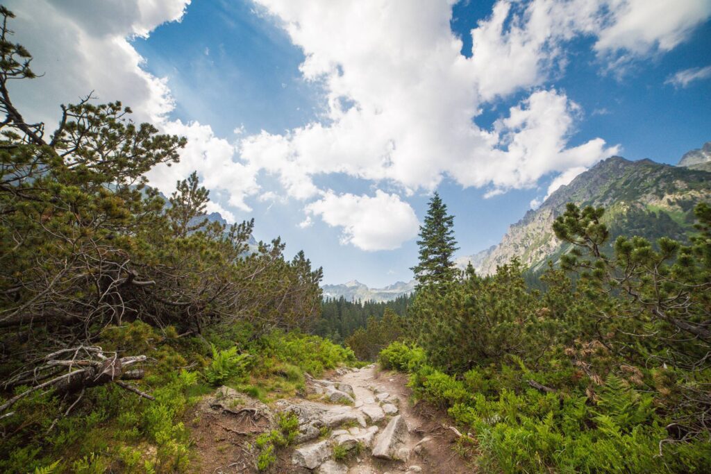 Small Path in the Middle of High Tatras, Slovakia Free Photo