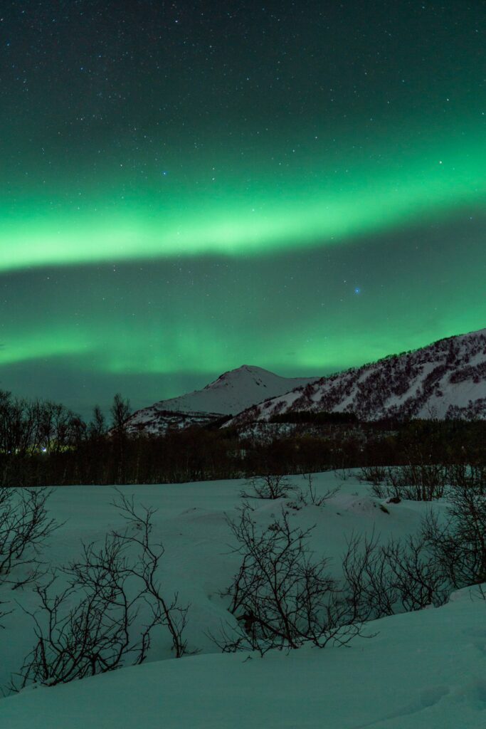 Snowy Landscape with Northernlights Free Photo