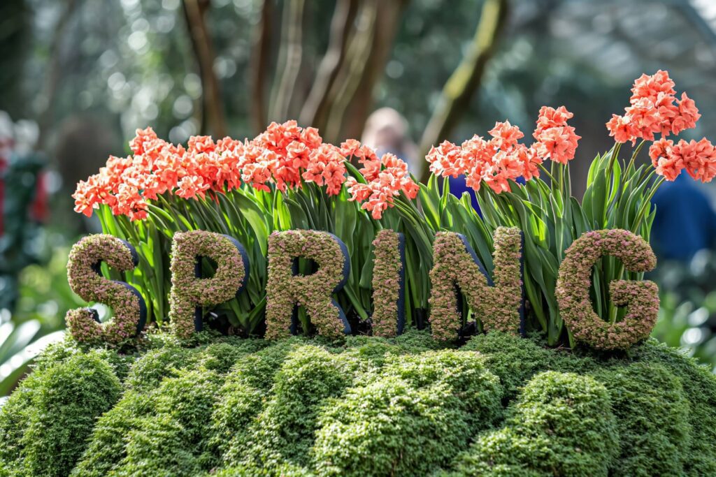 SPRING Written With Flowers and Grass Stock Free