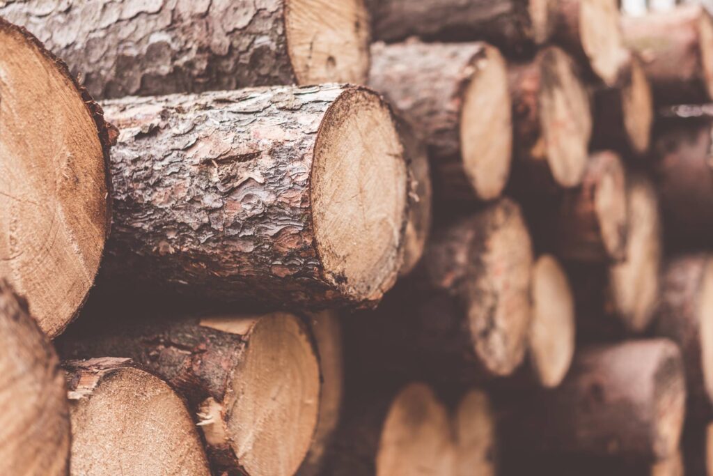 Stack of Felled Trees Close Up Free Photo