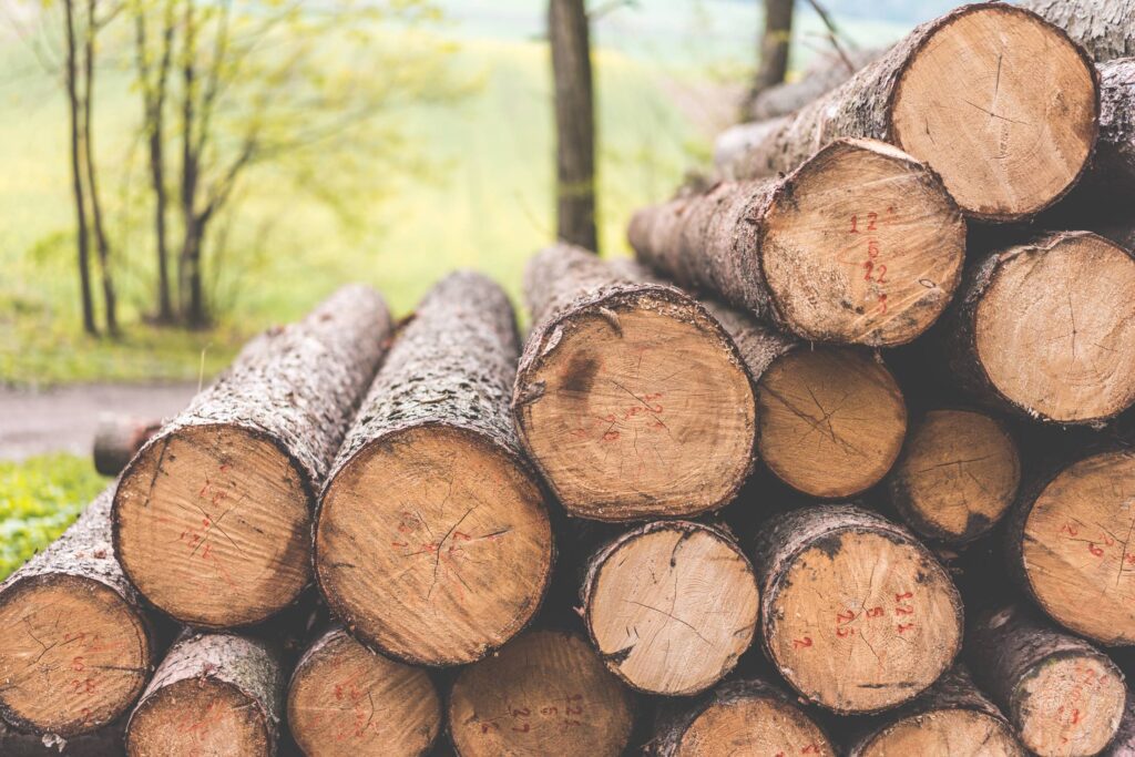 Stack of Felled Trees Felling Forestry Operations Free Photo