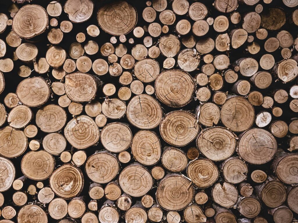 Stacked Pile of Firewood Free Photo