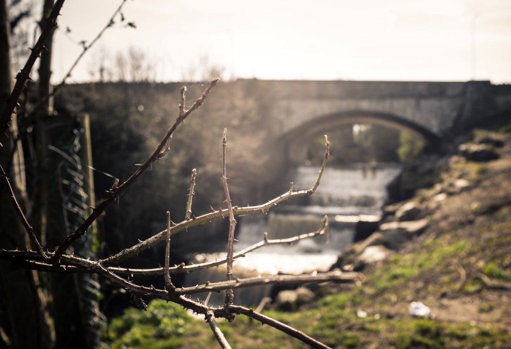 Stone Bridge Over River Free Stock HD Photo