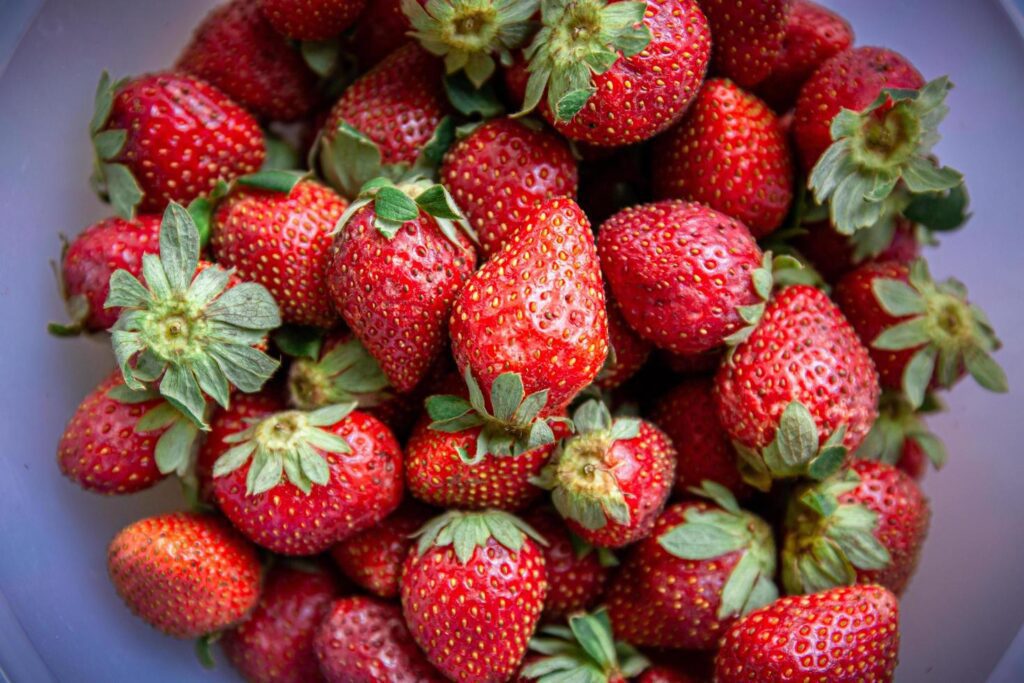 Strawberries in a plastic bowl Stock Free