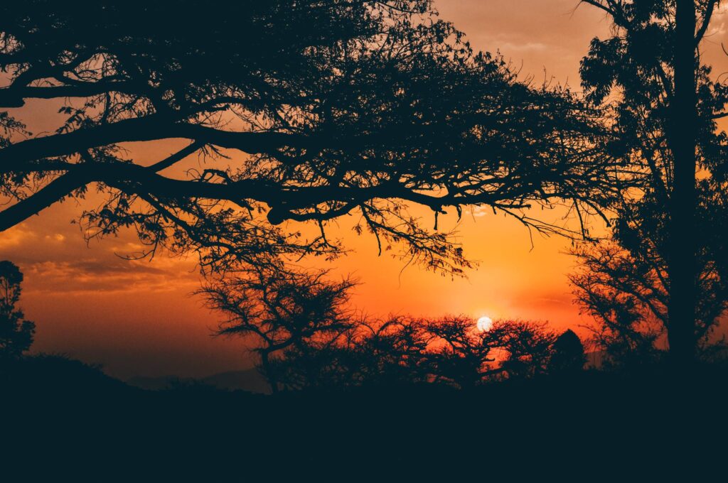 Sunset Golden Hour in Kenya Safari Free Photo