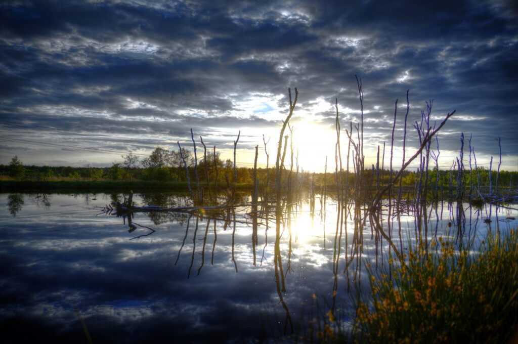 Sunset reflection Stock Free