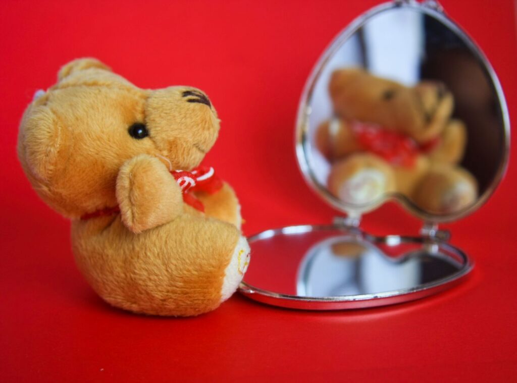 Teddy Bear Mirror Small Stock Free