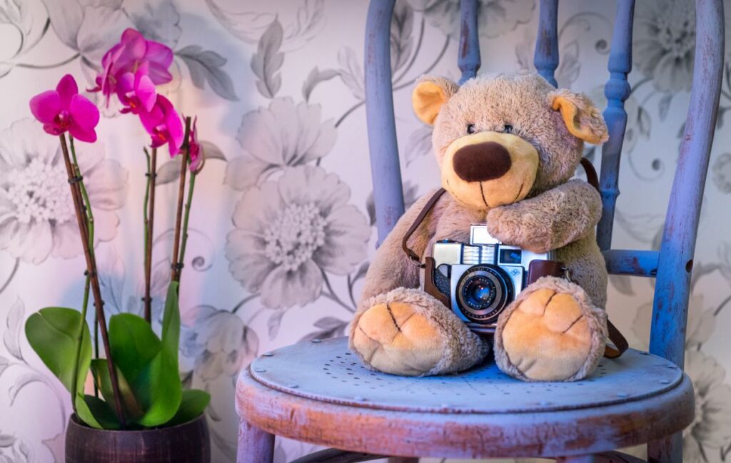 Teddy takes a picture Stock Free