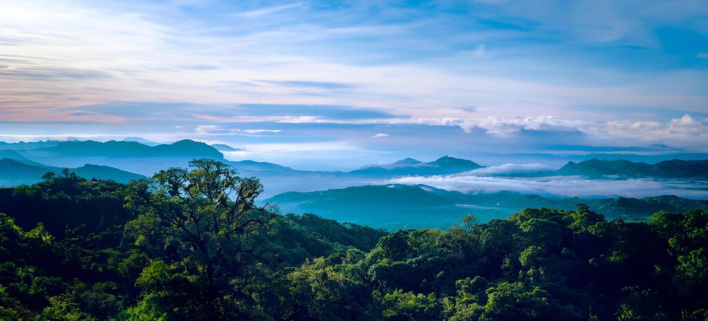 The background of nature with fog on the mountain. In the rainy weather in the countryside. winter Stock Free