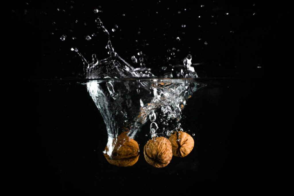 Three Nuts in Water Free Photo