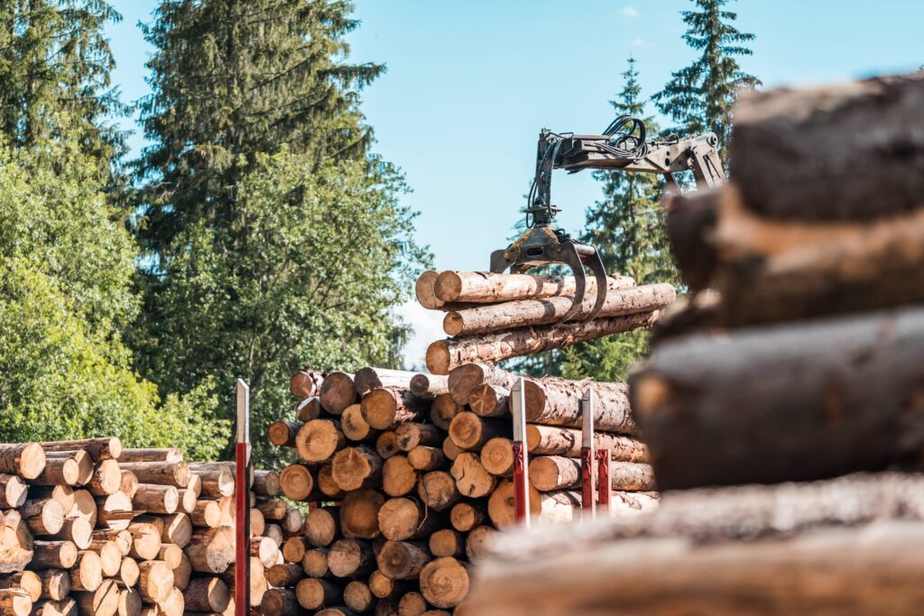 Timber Truck Logging Forestry Operations Free Photo