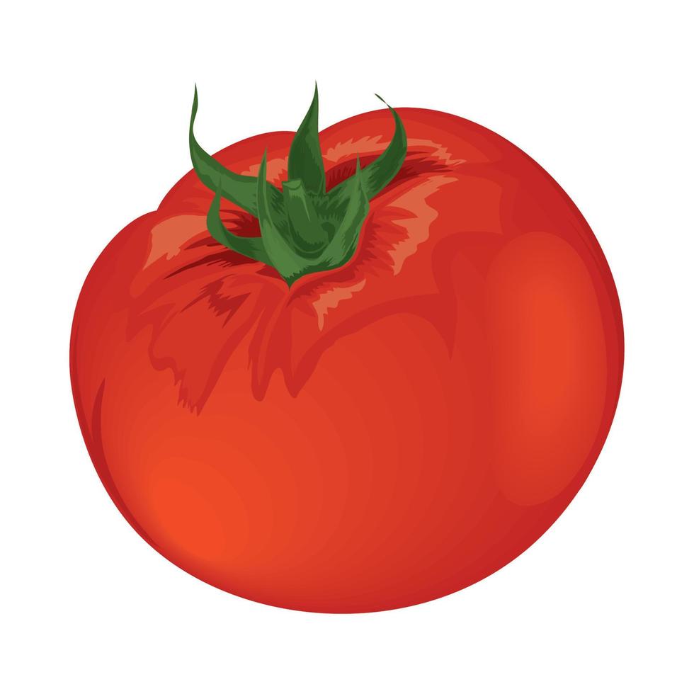 tomato vegetable icon Stock Free