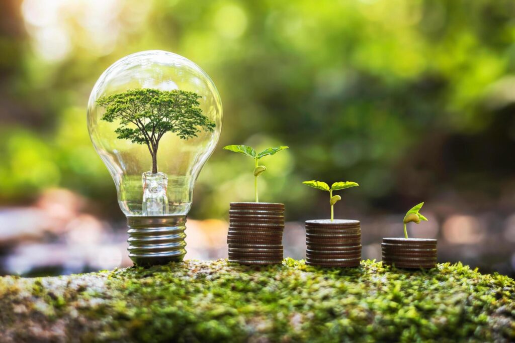 tree growing in ligthbulb with plant growth on money in nature. concept energy and business Stock Free