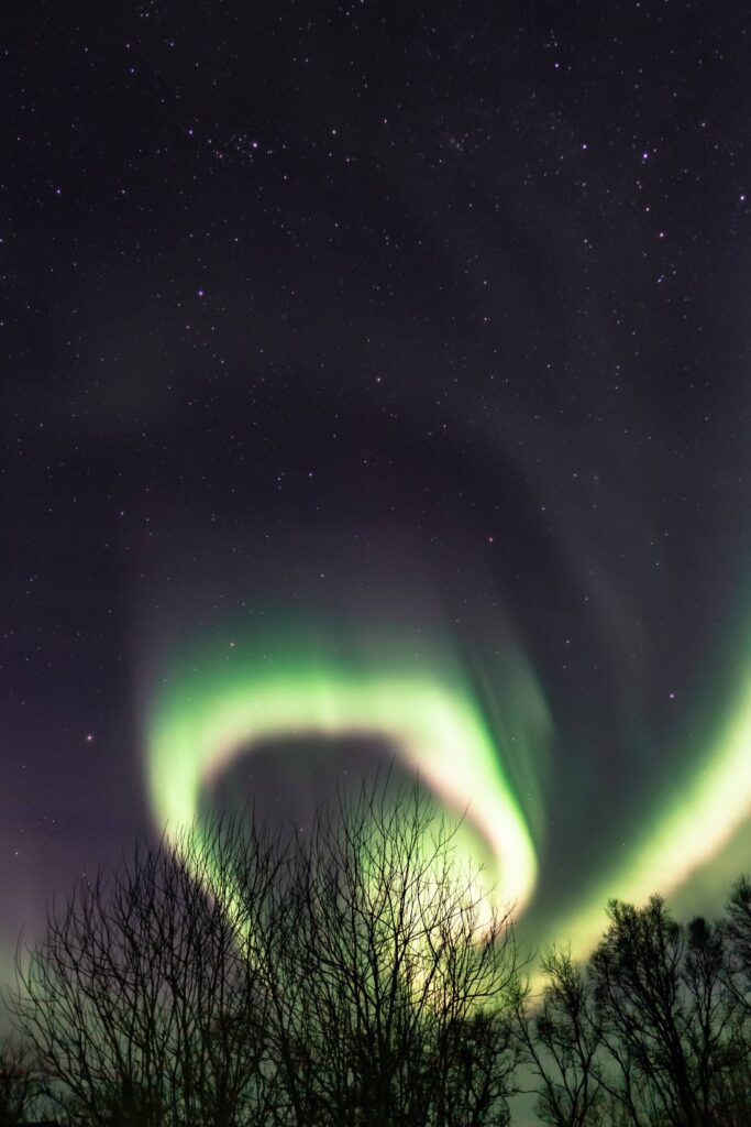 Tree Silhouettes with Northernlights Free Photo