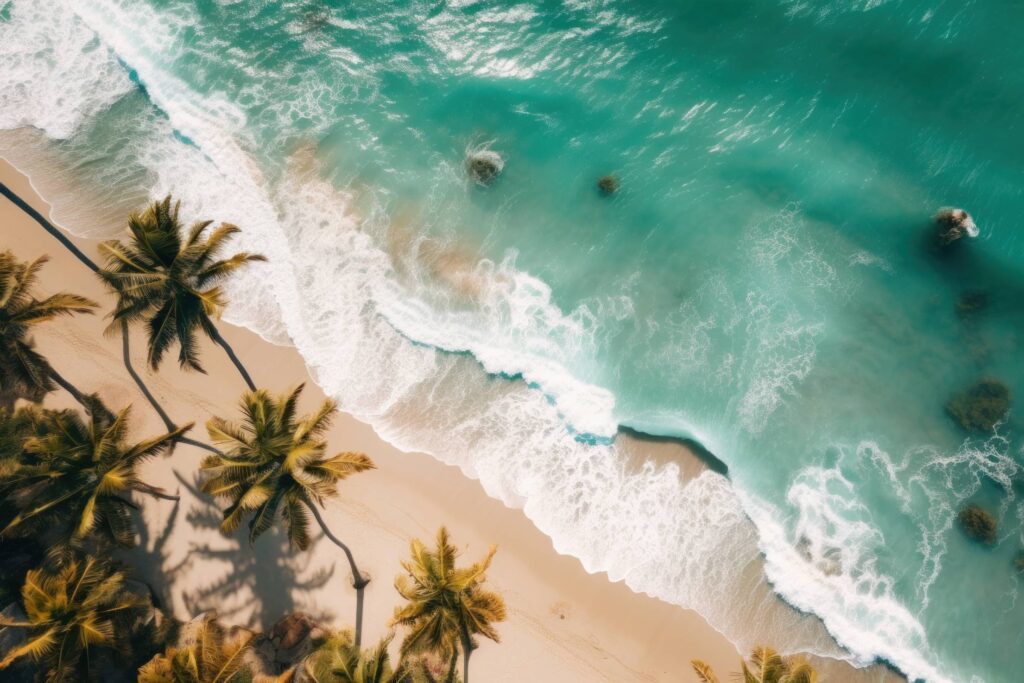 Tropical Beach with Palms from Above Stock Free