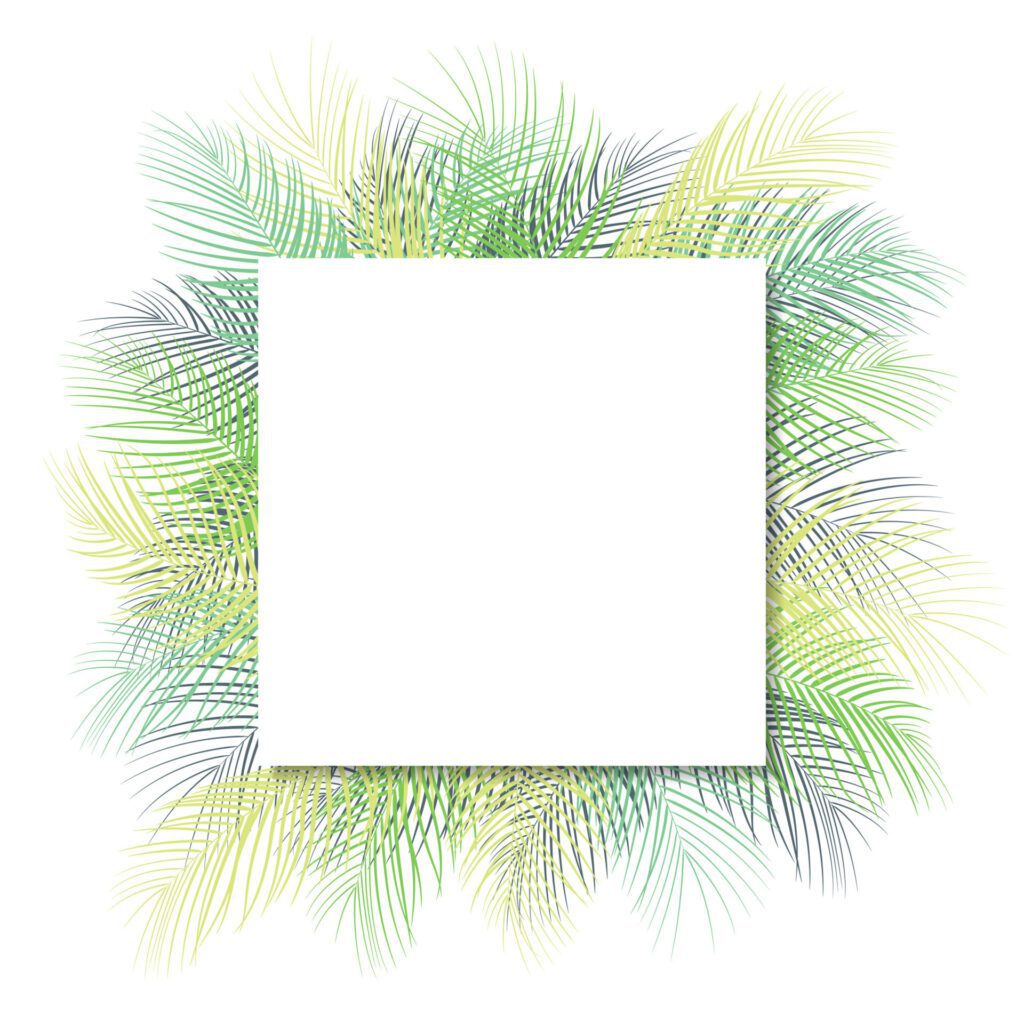 Tropical green palm leaves with white frame place for text isolated on white background Free Vector