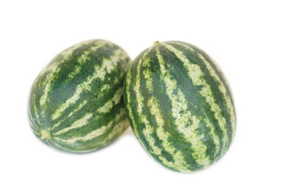 Two watermelon fruits isolated on white background. Concept, seasonal fruit. Agriculture crops. Healthy eating. Stock Free