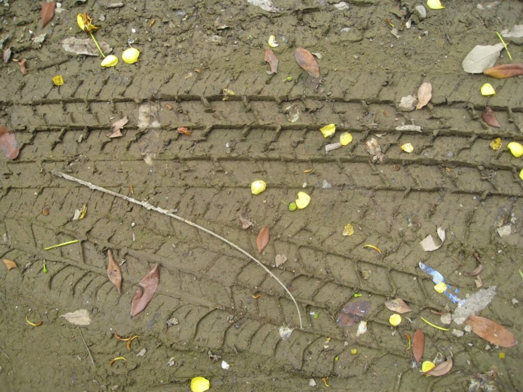 Tyre Tread Marks On Wet Ground Stock Free