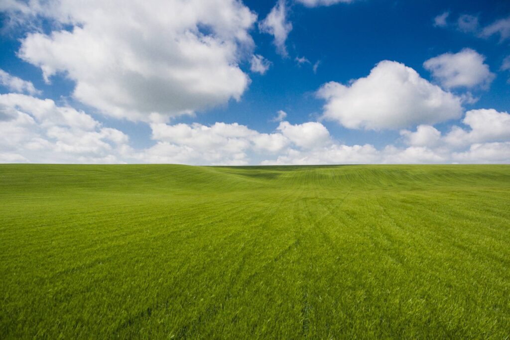 Unbelievably Clean Photo of Wheat Field with Clouds Free Photo