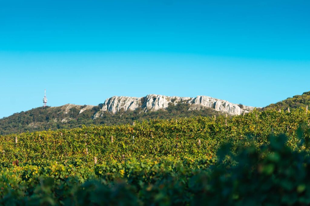 View of Pálava Rocks and Vineyards Free Photo