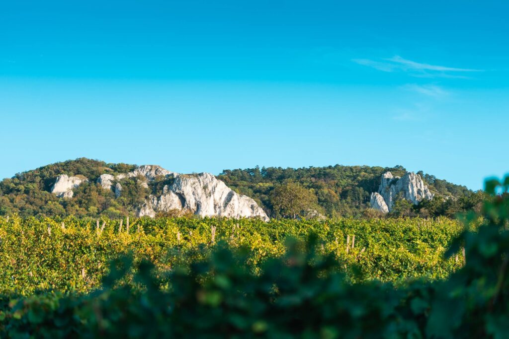 View of Vineyards and Pálava Rocks in South Moravia Free Photo