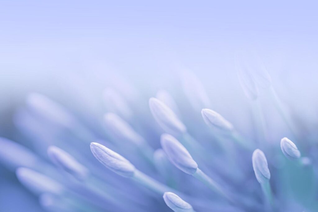 Violet blue beautiful spring flower bloom branch background with free copy space for greeting card or environment cover page, template, web banner and header. Stock Free