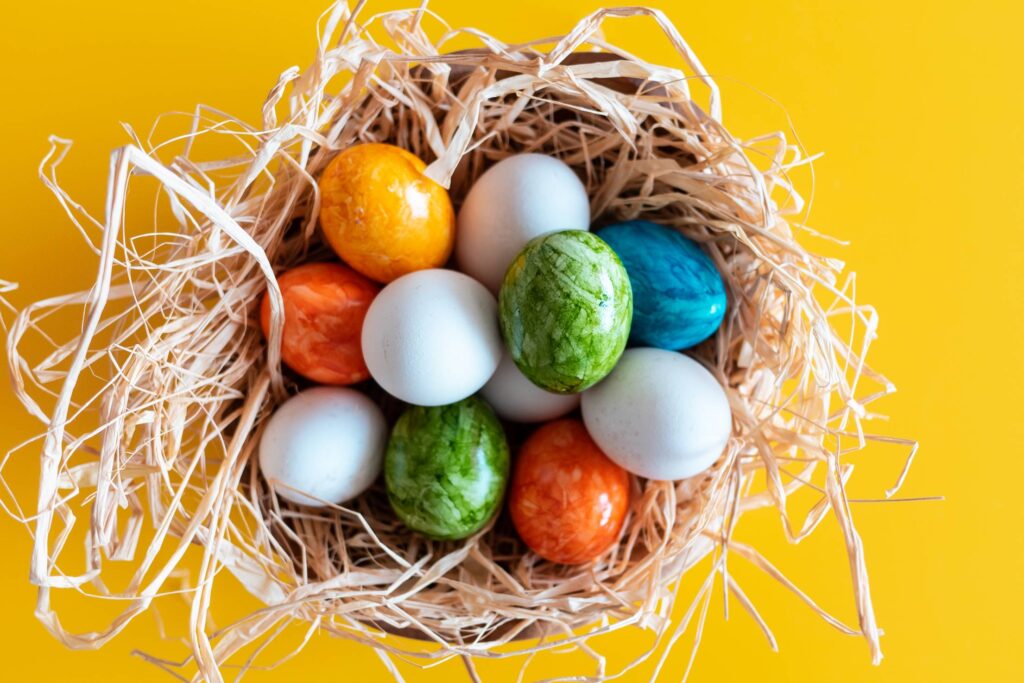 White & Colored Easter Eggs Free Photo