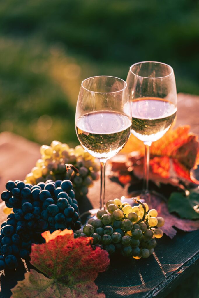 White Wine in Glasses with Grapes Free Photo