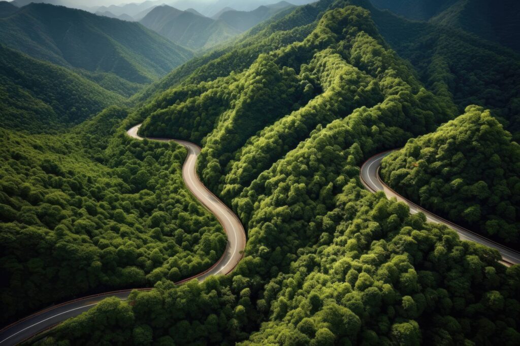 Winding Road in Wooded Hills Stock Free