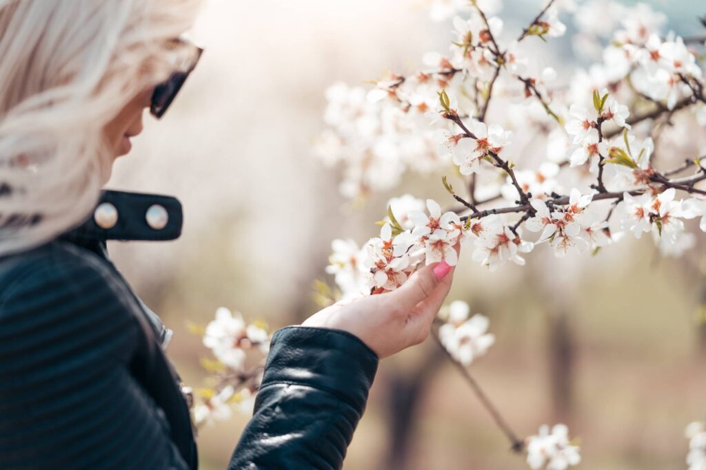 Woman Enjoying the Flowers of an Almond Tree Free Photo