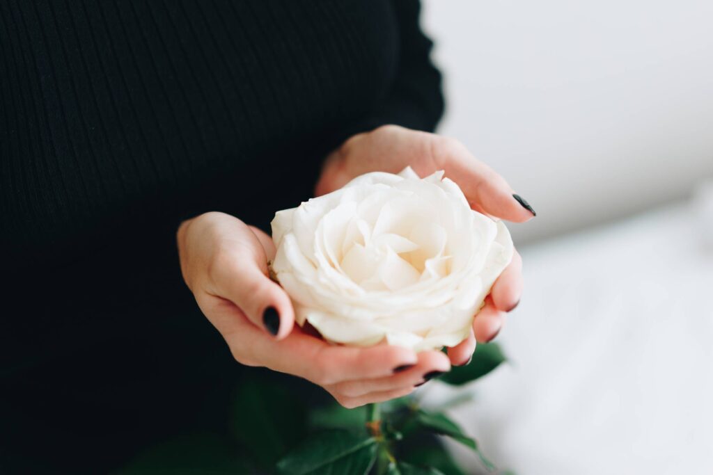 Woman Holding a Big White Rose Flower in Her Hands Free Photo