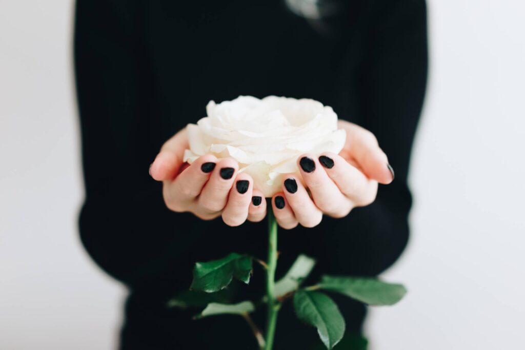 Woman Holding a White Rose in Her Hand Free Photo