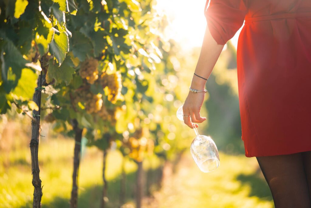 Woman Holding a Wine Glass In a Vineyard Free Photo